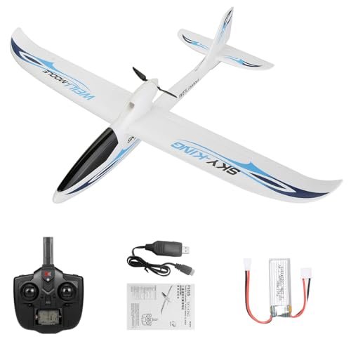 GoolRC 3CH Armed RC Plane Sky King Fighter Toy with 2.4GHz 6 Axis Gyro Stabilizer Ready to Fly for Adults Kids Beginners