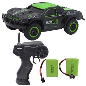 Blomiky 5th Scale RC Bodies High Speed 9MPH 1:43 Scale 2.4G 4WD Electric Remote Control Car Green Black