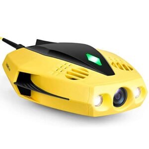 Cox 049 RC Plane Premium Remote Control Aircraft for Hobbyists and Collectors
