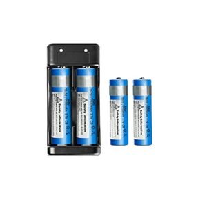 BEZGAR 3 RC Truck Li ion Batteries 3.7V 1500mAH with USB Cable and Charging Box