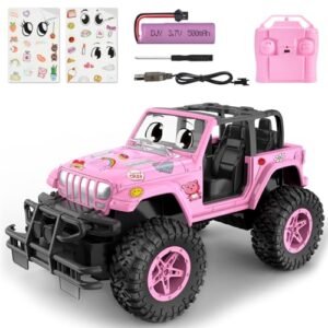 NQD Best RC Off Road Trucks Rechargeable Remote Control Car 116 Scale with Stickers 80 Min Playtime 24Ghz All Terrain Toy for Kids