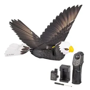 Zing Go Go Bird Eagle RC Helicopter Premium Remote Control Flying Aircraft with Carbon Fiber Drone Tech