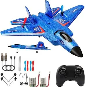 F22 RC Airplane Fighter Beginners Guide to RC Airplanes Ready to Fly 2.4Ghz 2 Channel Remote Control Plane for Kids and Beginners