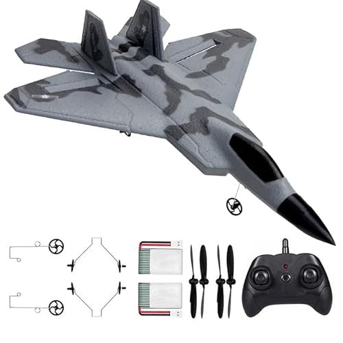 Eayaele Foam F 22 RC 2 Channel Remote Control Fighter Jet Plane Toy Best RC Jet Plane for Adults Kids Beginners