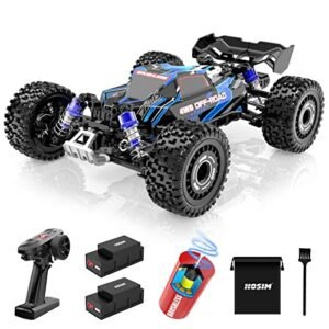 Hosim 1 16 Scale 60KMH 4WD Brushless RC Car Remote Control Truck for Adults Hobby Habit RC Cars Off Road Waterproof Toy Crawler Vehicle with 2 Batteries