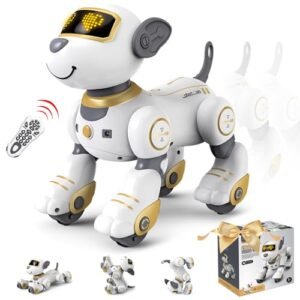 FUUY Airfoil Design for RC Planes Robot Dog Interactive Remote Control Toy with Programmable Sing Dance Features for Kids Age 3 5 4 7 Years Gold
