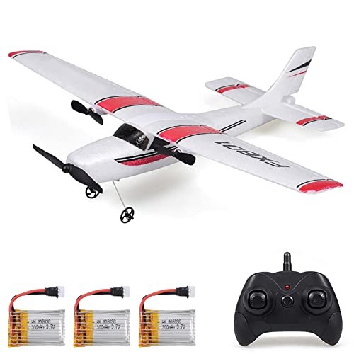GoolRC RC EPP Flying Wing 2.4GHz 2 Channel Remote Control Airplane Easy to Fly with 3 Batteries for Adults and Beginners