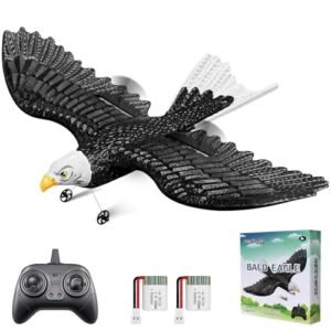 HAWKS WORK RC Eagle Easy Light RC Plane 2 CH Ready to Fly 2.4GHz Remote Control Airplane for Kids Beginners