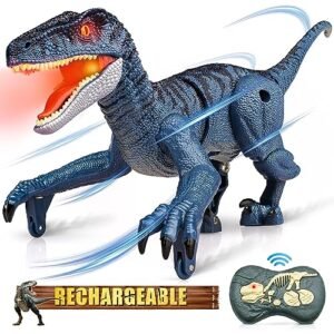 Hot Wheels RC Toy Car Remote Control Shark Speeder High Speed Electric Racing Car for Kids