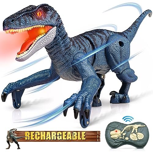 Hot Wheels RC Toy Car Remote Control Shark Speeder High Speed Electric Racing Car for Kids