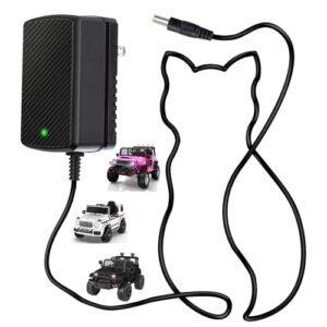 Best Choice Products 24V Battery Charger for RC Cars Answering Which Battery Is Best for RC Car with LED Display and Safety Certification
