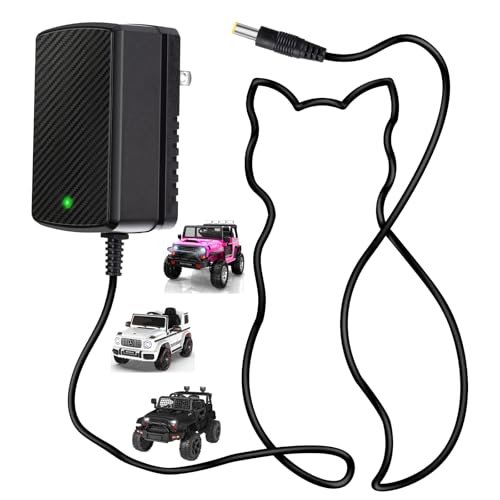 Best Choice Products 24V Battery Charger for RC Cars Answering Which Battery Is Best for RC Car with LED Display and Safety Certification