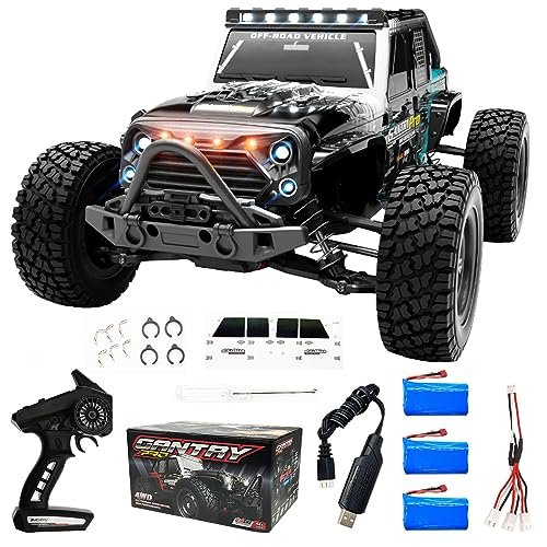 LEOSO RC Willey Rocking Chair SCY16103 Pro Brushless 1/16 RC Truck High Speed 70km/h 4 Channels Remote Control 4WD with 3pcs 1500mah Battery Blue