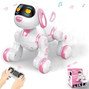 FUUY RC Jet with Head Tracking Programmable Remote Control Toy for Kids Ages 3 7