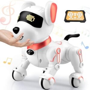 Britik Old Timer RC Plane Kits for Kids Remote Control Flying Toy for Boys Girls Ages 8 9 10 11 12 Years Old