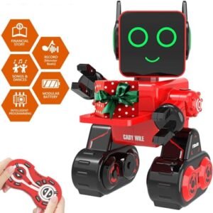Lexus RC 350 Modded Inspired Remote Control Robot Toy for Kids Interactive Programmable Dancing Talking Red
