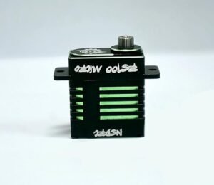 NSDRC Special Edition RS100 SERVO and Horn RC Willey Carpet Special Green RC Car Servo CNC Aluminum Case