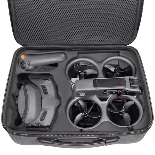 DJI Avata 2 Wing Bags for RC Planes Portable Travel Case with Goggles 3 Storage and RC Motion 3 Grey