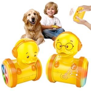 Bingchat 2025 Remote Control Toy with Voice Transmission Repeating Function for Kids and Pets