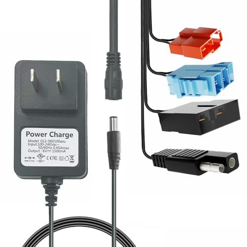 SkyHigh 6V 12V 24V Multi Function Charger for Electric Powered RC Airplanes and Ride On Toys