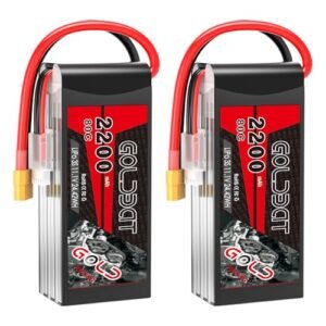 GOLDBAT 3S 11.1V 2200mAh 80C Lipo Battery XT60 Connector for Scarab RC Boat and Other RC Vehicles 2 Pack