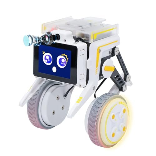 Yahboom Python Programming Robot Raspberry Pi Compute Module 4 Two Wheeled AI Vision Self Balancing Car with IMU Sensor
