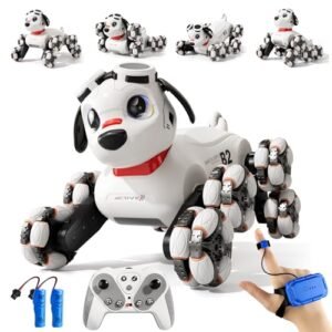 BLF FUN Remote Control Robot Dog Toy with Sailplane Plans RC Features Interactive Gesture Sensing for Kids Age 8 12
