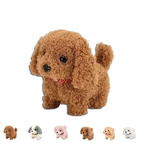 Nicoo Transformative RC Car That Turns Into A Plane 2025 New AI Robotic Toy