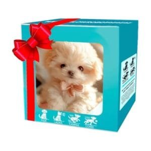 Uojfnhb 2025 New Robot Dog Nicooo My Hobbies RC Realistic Robotic Puppy with Walking Barking Tail Wagging Features White