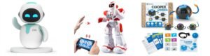 Best Buddy RC Smart Bot