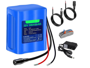 CITYORK 12V lipo Battery with Charger